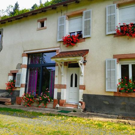Le Logis Aux Digitales Apartamento La Croix-aux-Mines Exterior foto