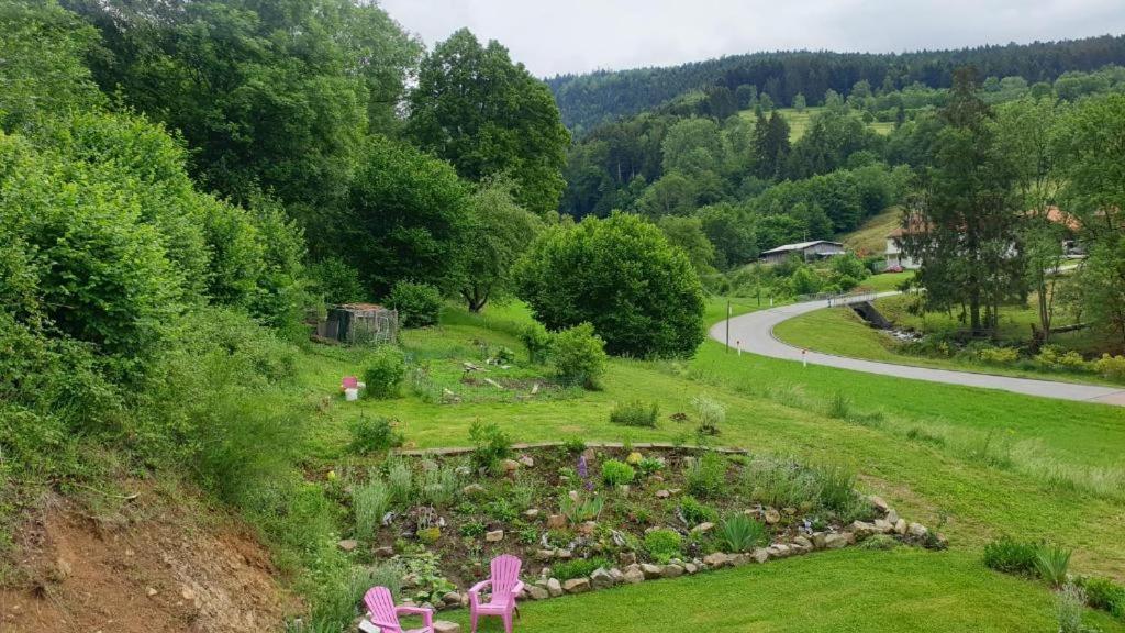 Le Logis Aux Digitales Apartamento La Croix-aux-Mines Exterior foto