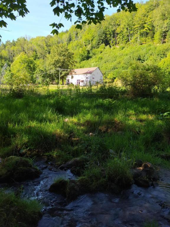 Le Logis Aux Digitales Apartamento La Croix-aux-Mines Exterior foto
