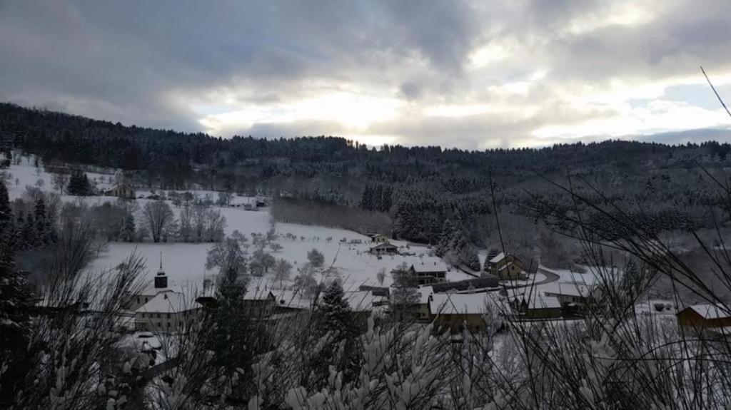 Le Logis Aux Digitales Apartamento La Croix-aux-Mines Exterior foto