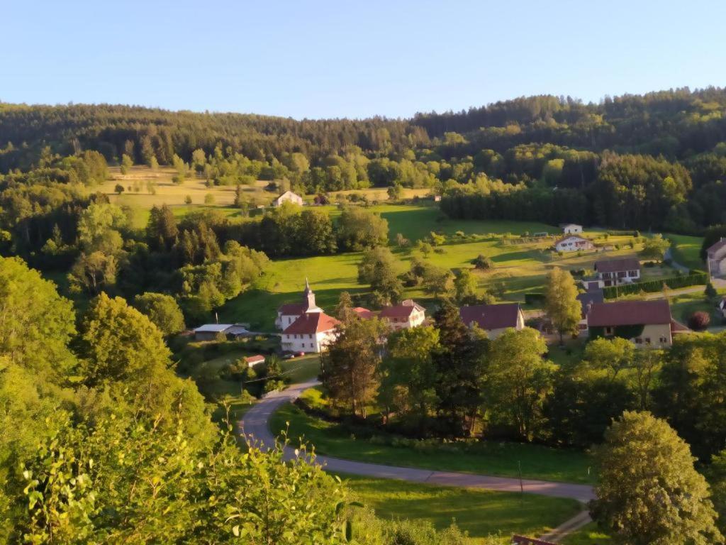 Le Logis Aux Digitales Apartamento La Croix-aux-Mines Exterior foto