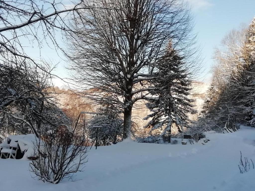 Le Logis Aux Digitales Apartamento La Croix-aux-Mines Exterior foto