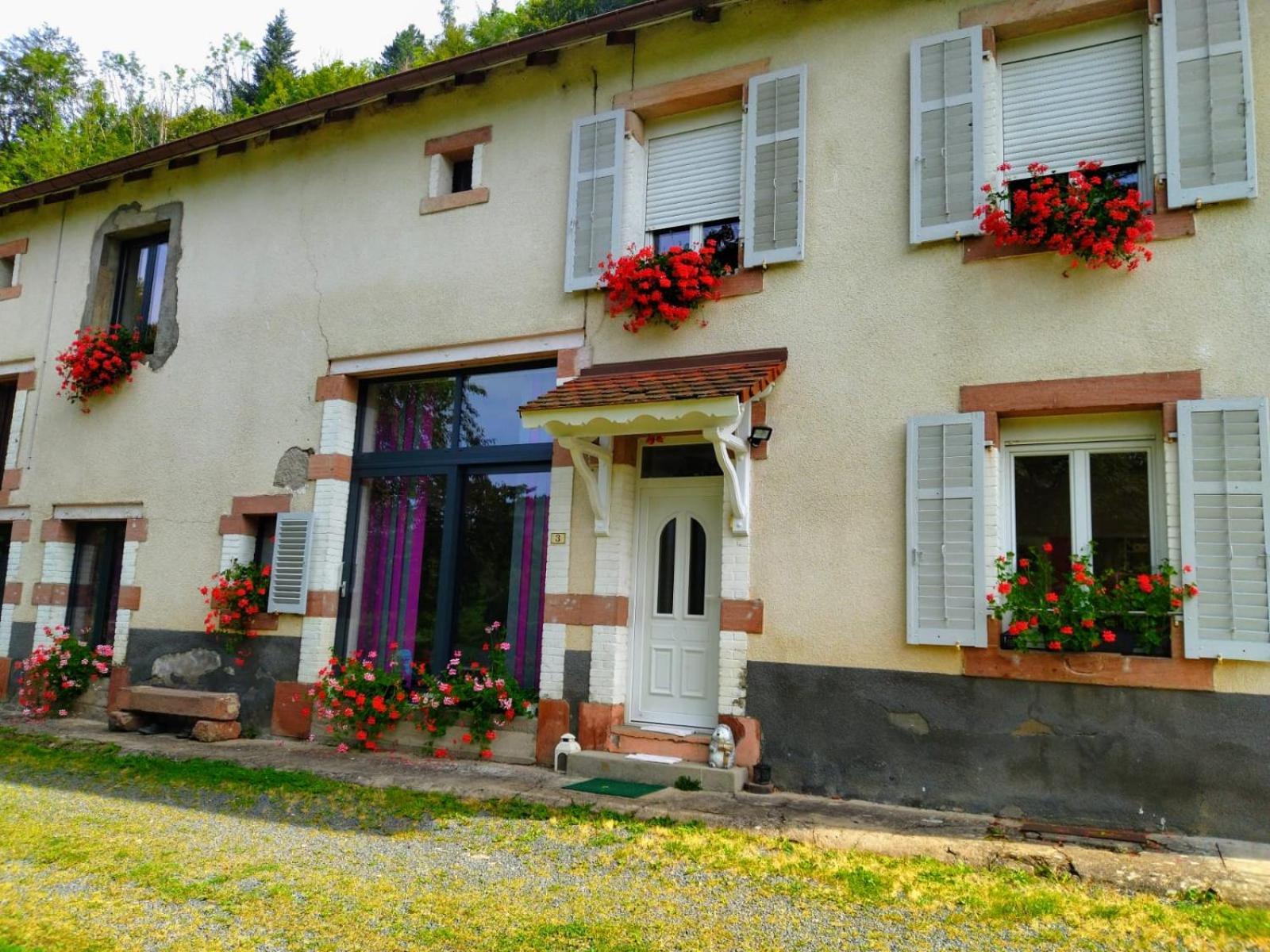 Le Logis Aux Digitales Apartamento La Croix-aux-Mines Exterior foto