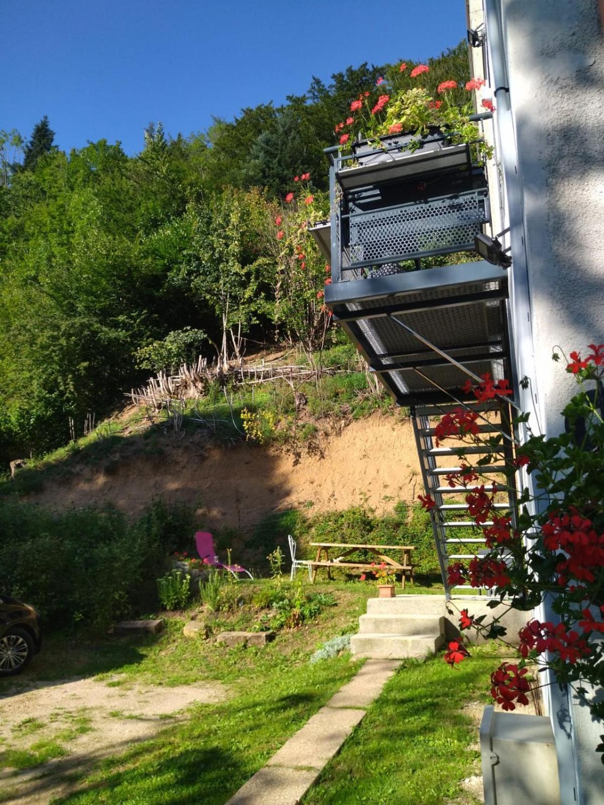 Le Logis Aux Digitales Apartamento La Croix-aux-Mines Exterior foto